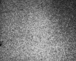Image frame_0003_depth_003_im1_small
